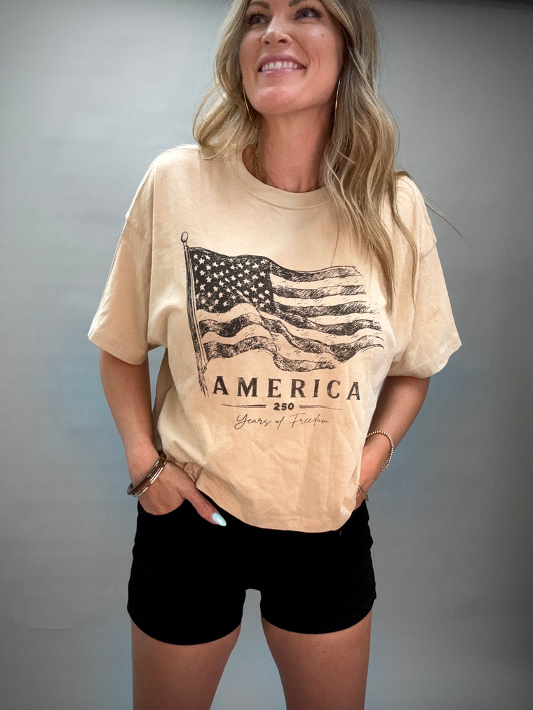 Khaki America Graphic Tee