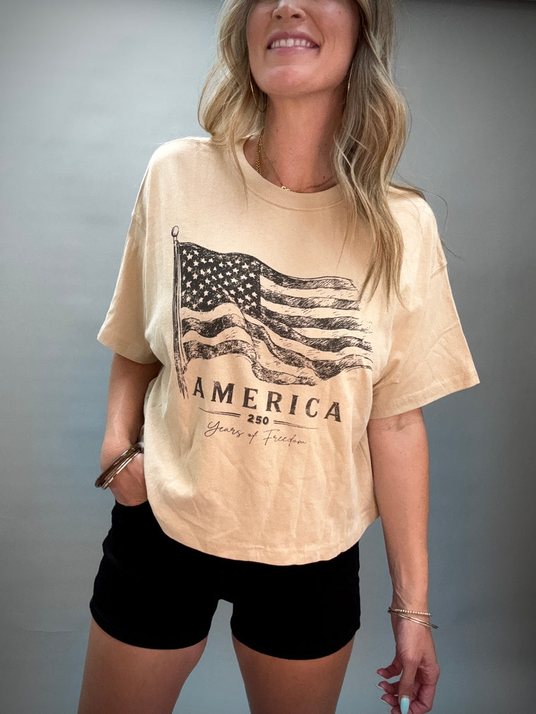 Khaki America Graphic Tee