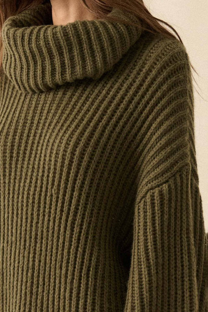 Fern Turtle Neck Oversized Sweater Dress