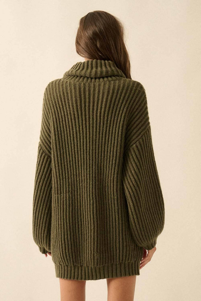 Fern Turtle Neck Oversized Sweater Dress