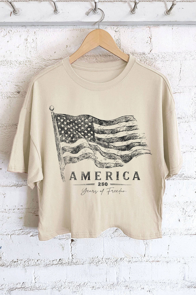 Khaki America Graphic Tee