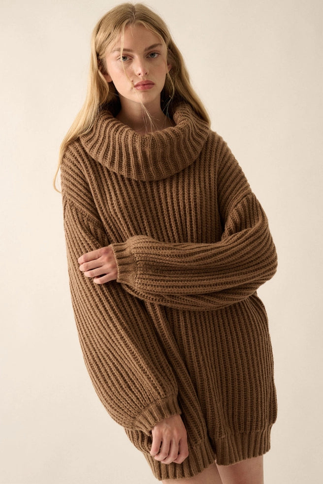Coco Turtle Neck Oversized Sweater Dress