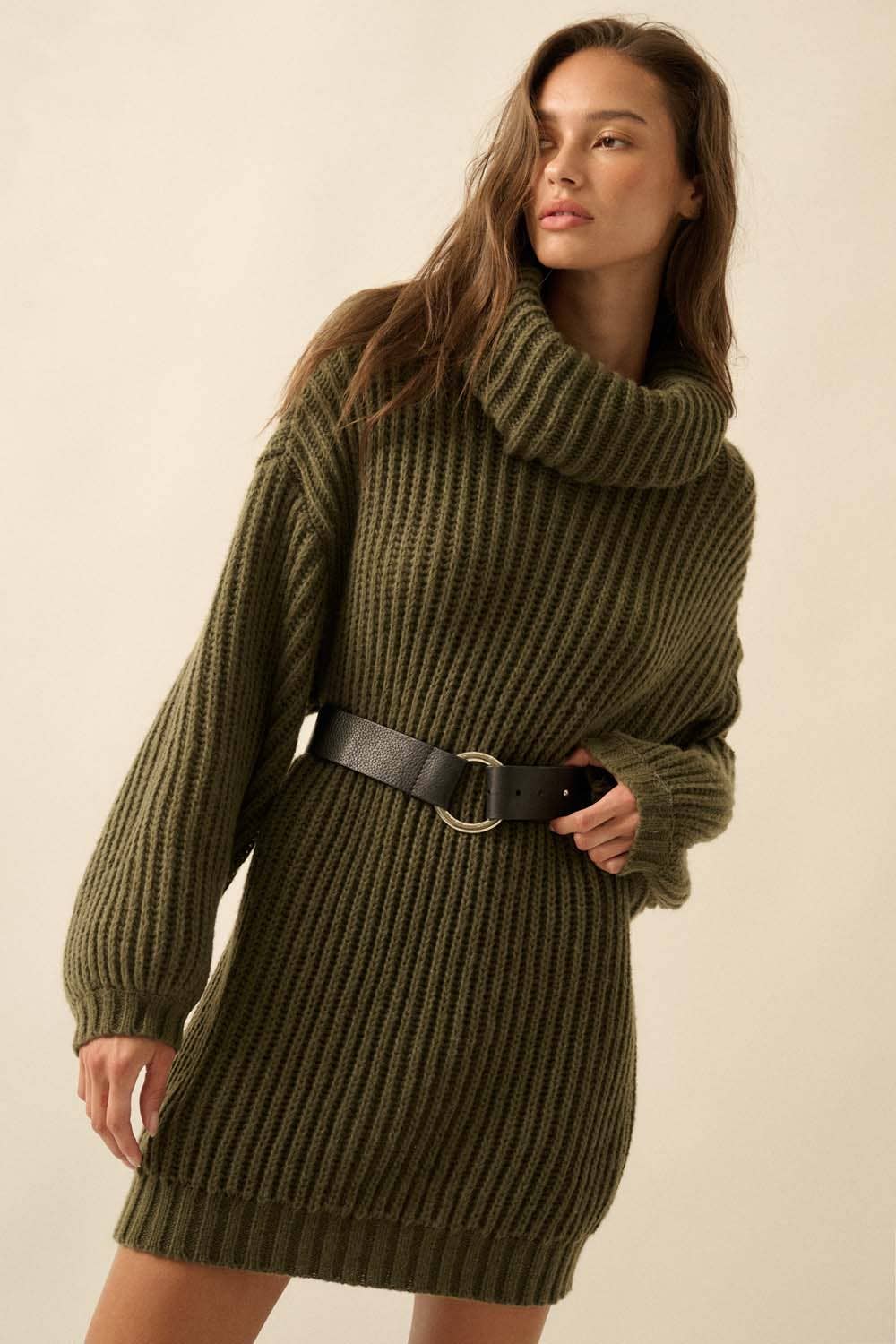 Fern Turtle Neck Oversized Sweater Dress