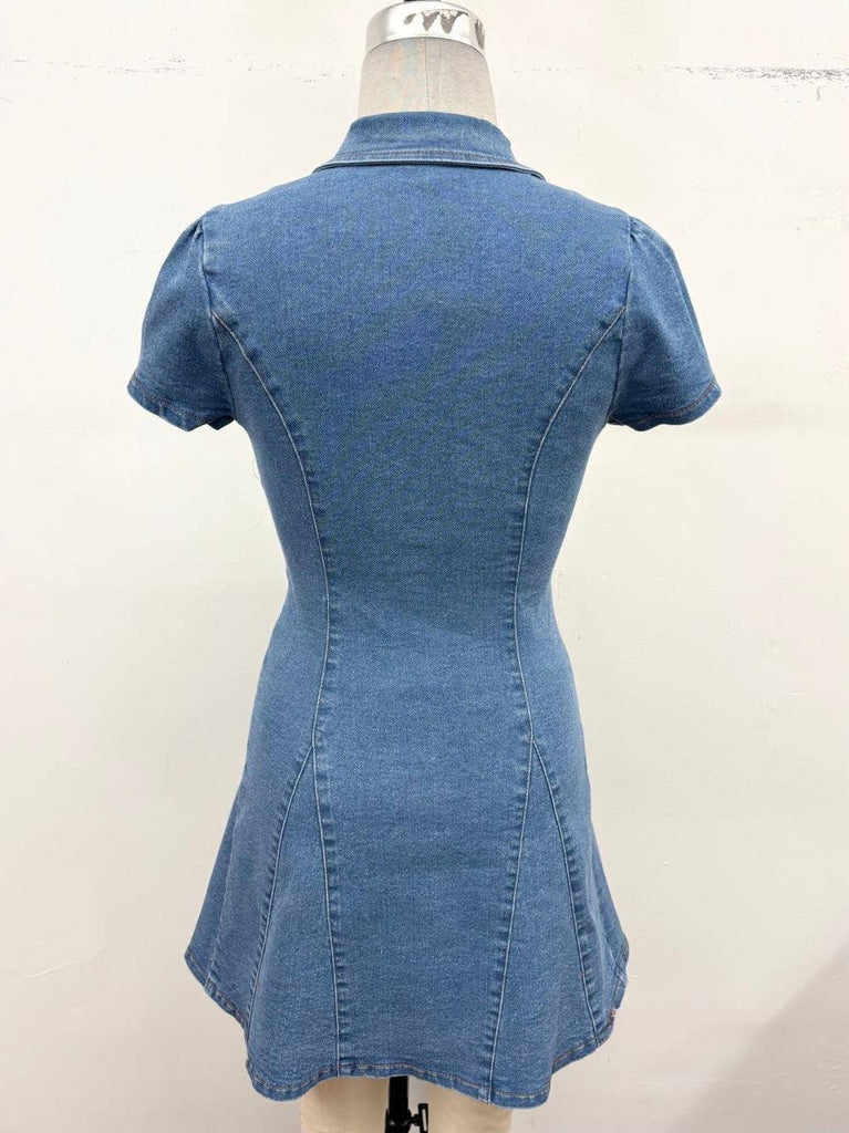 Button-Down Stretch Denim Mini Dress