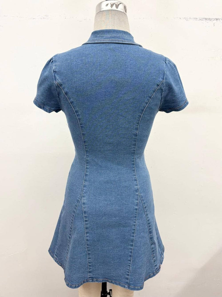 Button-Down Stretch Denim Mini Dress