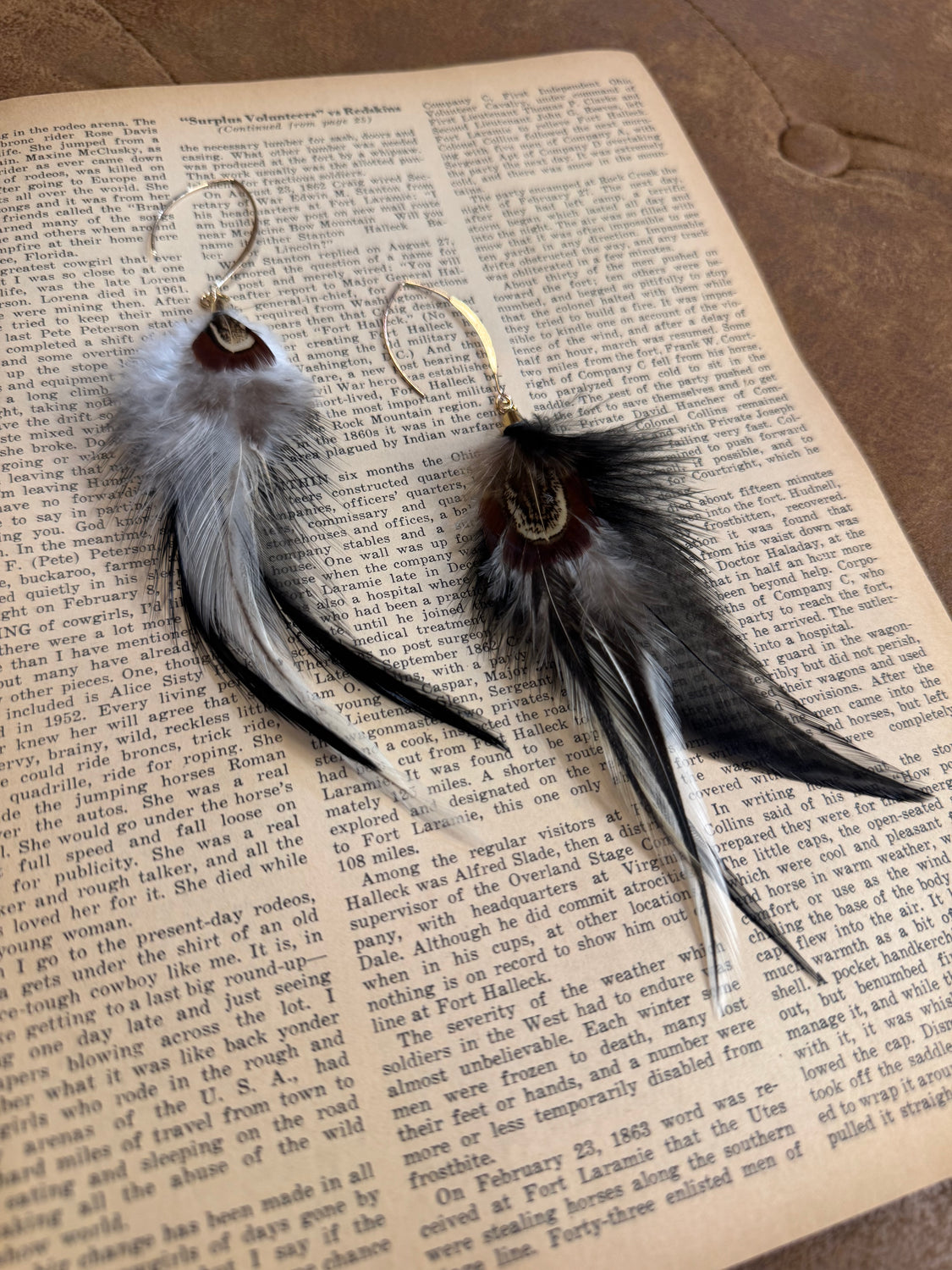 Midnight Feather Dangle Earrings