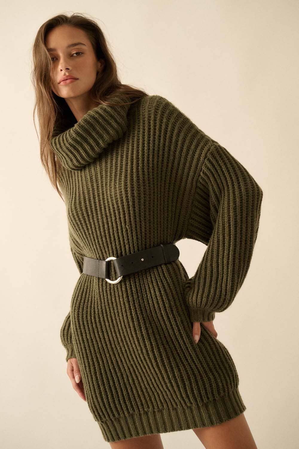 Fern Turtle Neck Oversized Sweater Dress