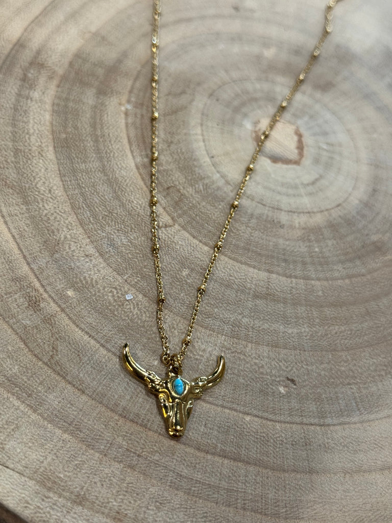 Long Horn Necklace