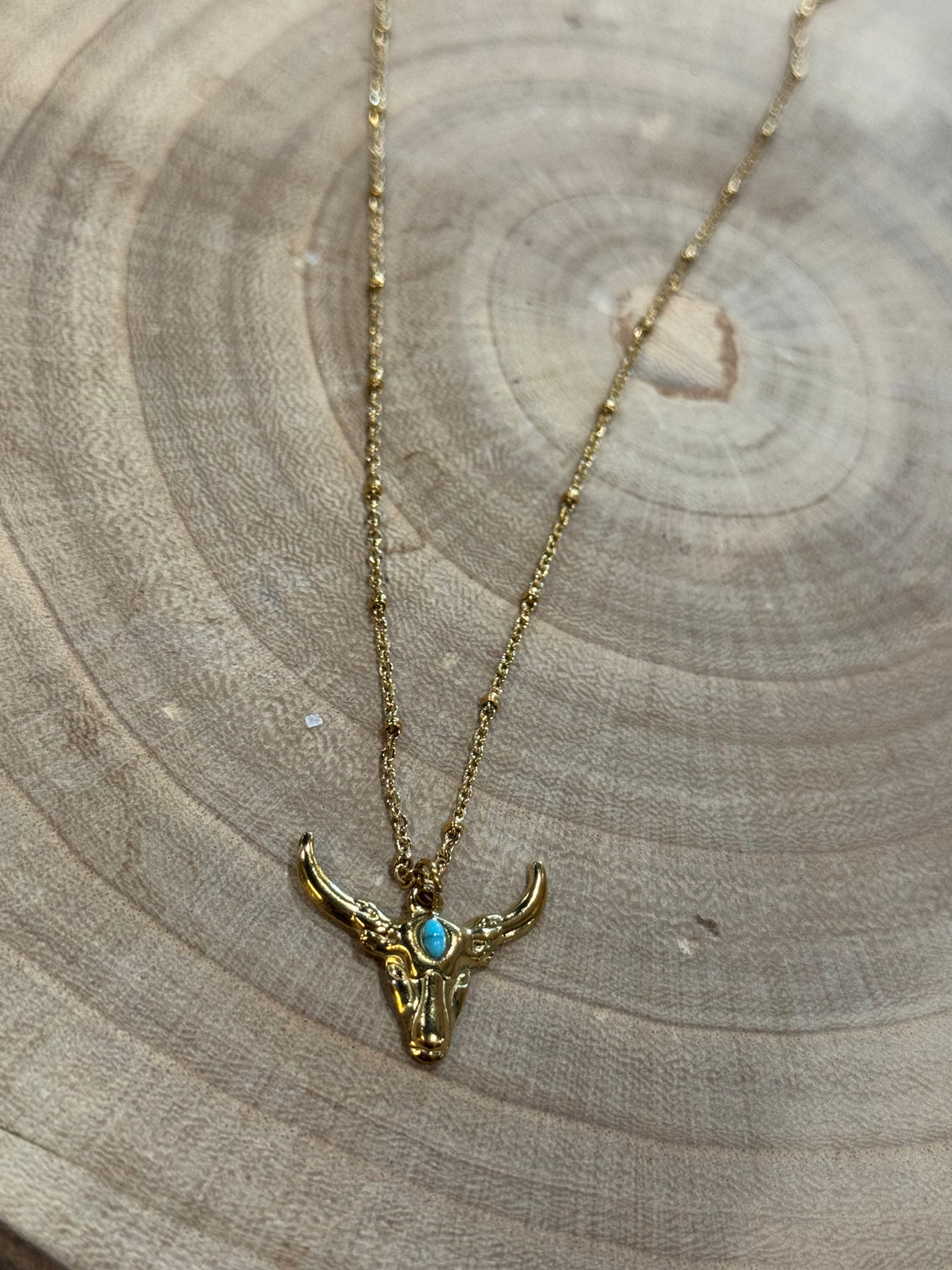 Long Horn Necklace