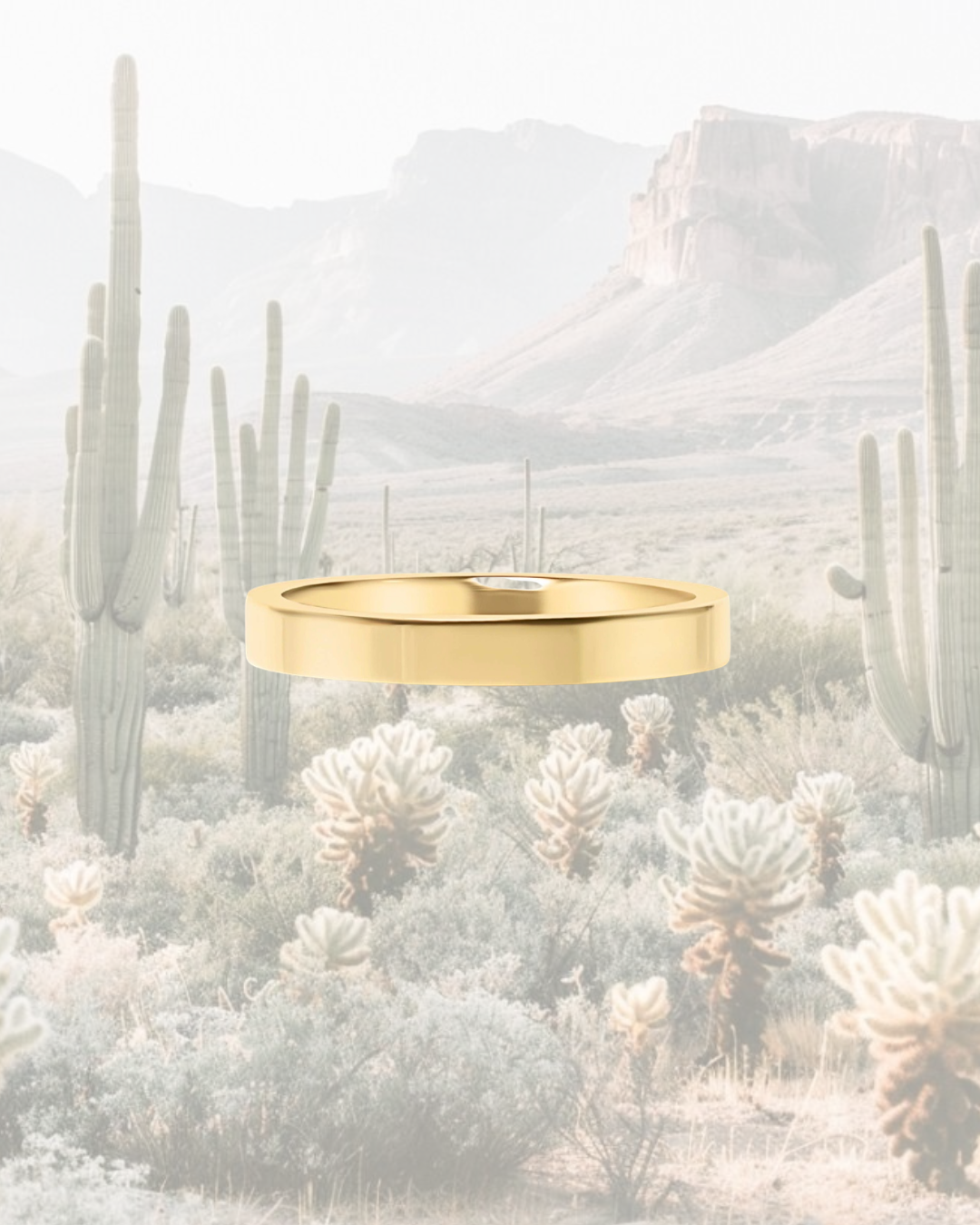 Flat Band Classic Ring
