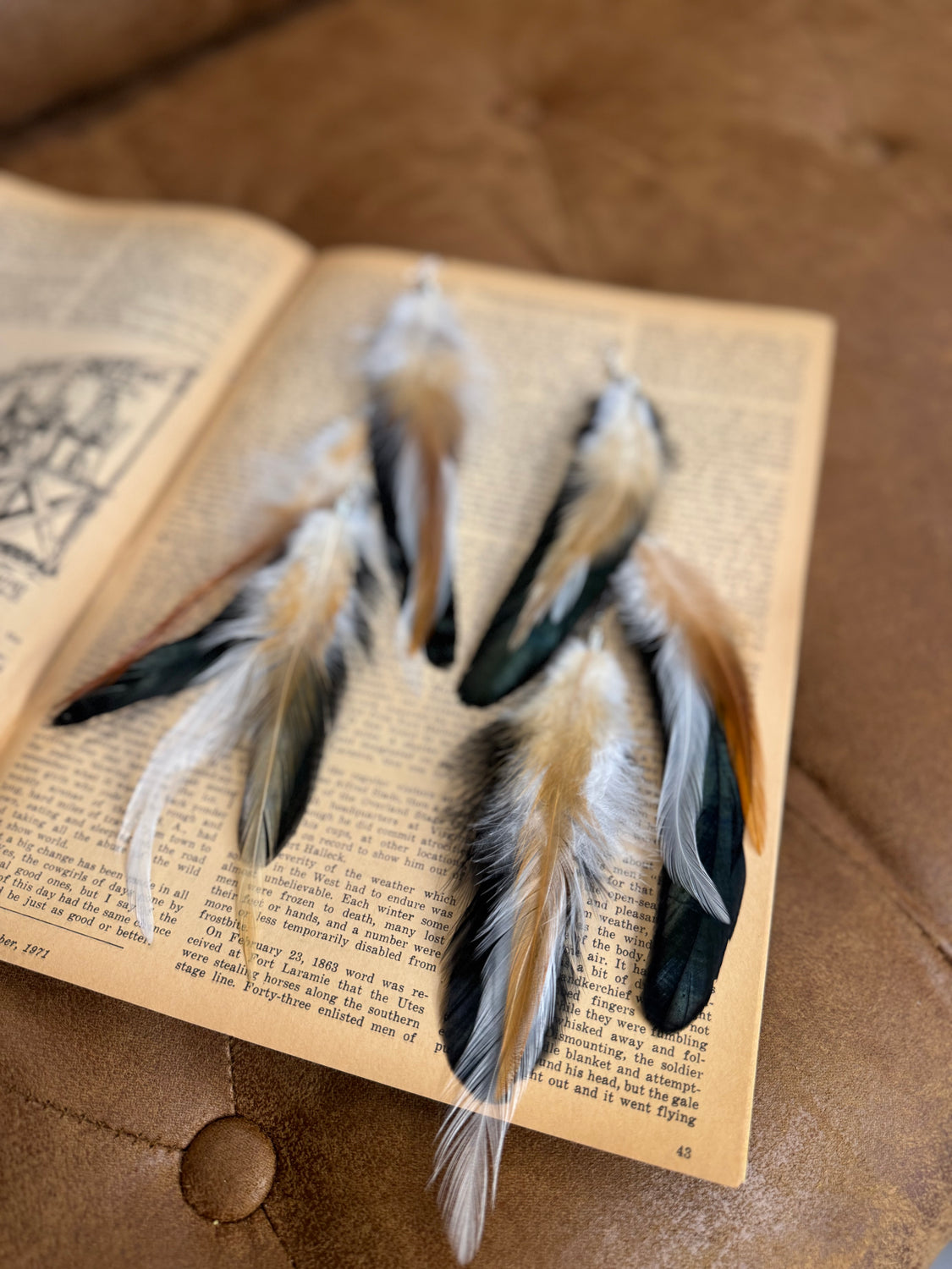 Moonshine Feather Long Earrings