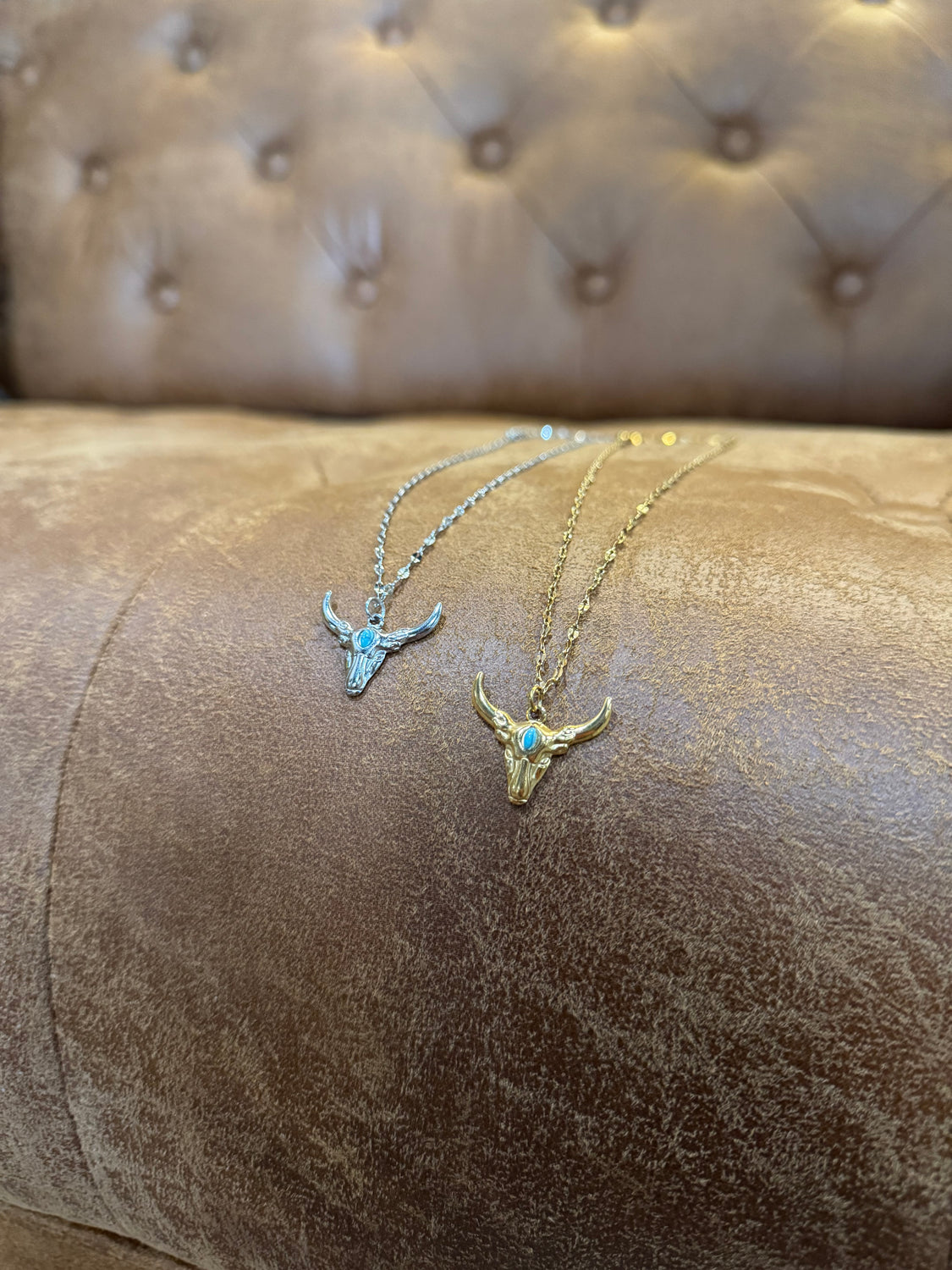 Long Horn Necklace