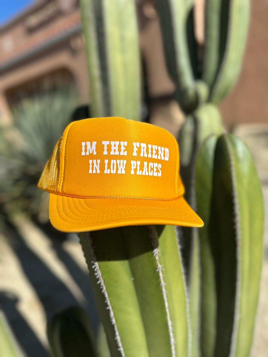Low Places Friend Trucker Hat