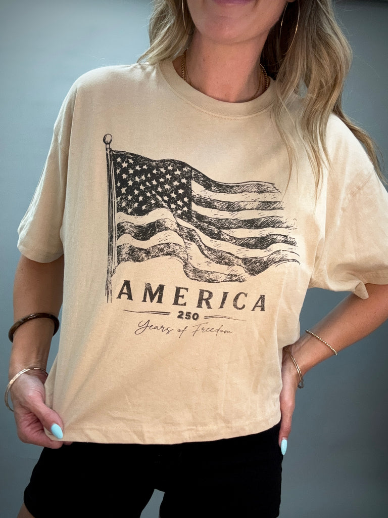 Khaki America Graphic Tee