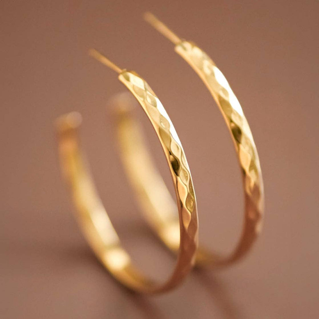 Ashley Steel Hoop Earrings