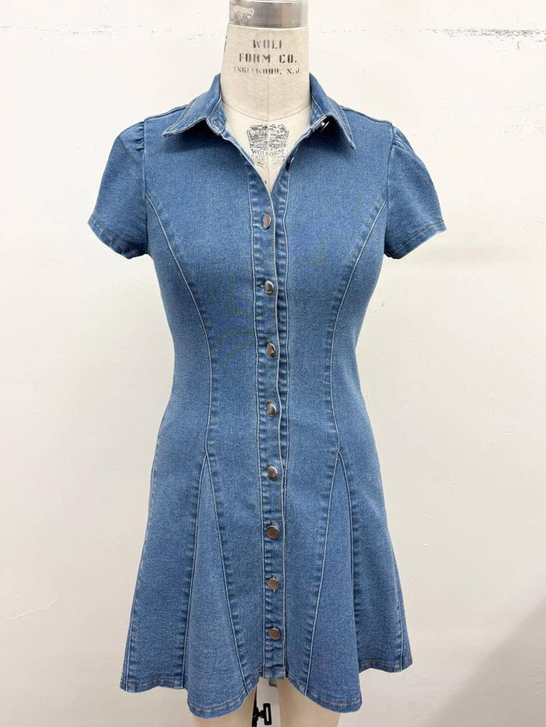 Button-Down Stretch Denim Mini Dress