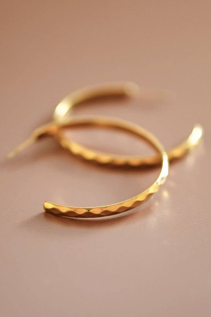 Ashley Steel Hoop Earrings